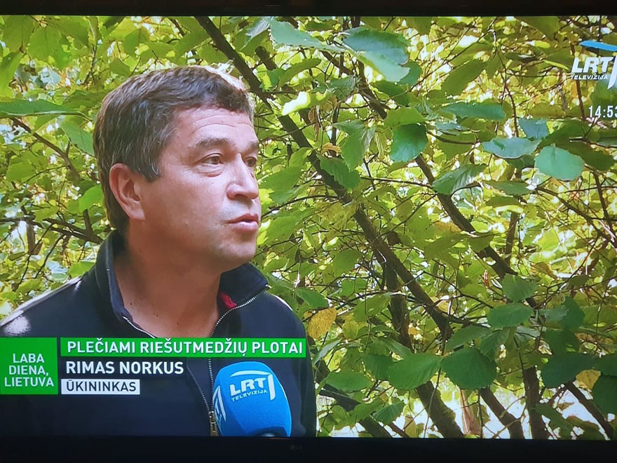 noruriesutai11